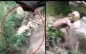 To «Γκόλουμ» φωτογραφήθηκε στην Κίνα... [video]