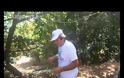 Άφησε την Αθήνα για να ζήσει το παιδικό του όνειρο στα ορεινά των Τρικάλων...[video]