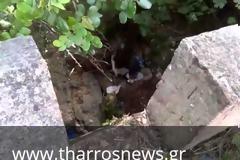Εκτέλεσαν τους δυο νεαρούς στη Μάνη με πολλαπλούς πυροβολισμούς [video + photos]