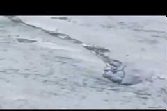Αυθεντικό το βίντεο με το τέρας Lagarfljótsormur, σύμφωνα με την ισλανδική κυβέρνηση - Δείτε το και βγάλτε τα συμπεράσματα σας