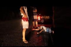 Η ζούγκλα της Μυκόνου - Εικόνες που μπορεί να συναντήσει κάποιος σε μια βόλτα του στο νησί των Ανέμων [video]