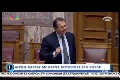 Το παρασκήνιο της καρατόμησης Στύλιου μετά την επίθεση στην Κανέλλη