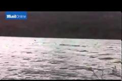 Βρέθηκε το τέρας του Λόχνες! Δείτε το σε βίντεο και φωτογραφίες