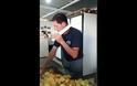 Όταν παίζεις πολύ Fruit Ninja, αυτά είναι τα αποτελέσματα… [video]