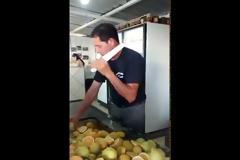 Όταν παίζεις πολύ Fruit Ninja, αυτά είναι τα αποτελέσματα… [video]