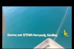 Δείτε το video με τη φάλαινα που κάνει βόλτες στο Μαλιακό Κόλπο! [video]