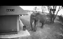 Αυτός είναι ο ελέφαντας που κέρδισε τον σεβασμό μας! [video]