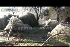 Γλυπτά ... απαράμιλλης αισθητικής από πάγο στην παραλίμνια περιοχή... [video]