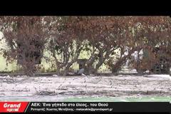 ΑΕΚ: Ένα γήπεδο στο έλεος… του Θεού [video]