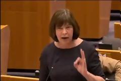 Rebecca Harms στο Ευρωκοινοβούλιο - Να βρούμε λύση μαζί με τους Έλληνες [video]
