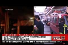 ΔΥΟ ΠΥΡΟΣΒΕΣΤΕΣ ΤΡΑΥΜΑΤΙΕΣ ΑΠΟ ΜΕΓΑΛΗ ΠΥΡΚΑΓΙΑ ΣΤΟ ΒΟΤΑΝΙΚΟ
