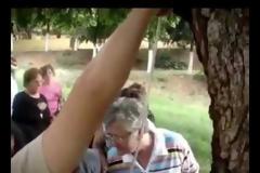Ασύλληπτο βίντεο - Δέντρα αιμορραγούν το αίμα του Αγίου Νικολάου... [video]