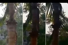 ΤΡΟΜΑΚΤΙΚΟ! Δείτε πώς μπορεί ένα φίδι να βρεθεί από πάνω σας... [video]