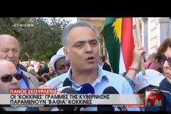 ΜΕ ΤΗΝ ΠΑΡΟΥΣΙΑ ΚΥΒΕΡΝΗΤΙΚΩΝ ΣΤΕΛΕΧΩΝ Ο ΕΟΡΤΑΣΜΟΣ ΤΗ ΠΡΩΤΟΜΑΓΙΑΣ VD
