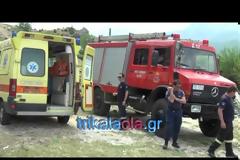 Τρίκαλα: Εξουδετέρωθηκε ο  βρικόλακας που είχε κρύψει κάτω από τη στέγη