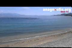 Τα ψάρια βγήκαν στη στεριά! [video]