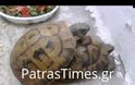 Ανέβασε στο Youtube ένα... πικάντικο VIDEO - Δείτε τι κατέγραψε... [video]