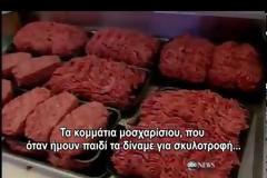 Αποκάλυψη του ABC που σοκάρει: Τρώμε... σκυλοτροφές! [video]