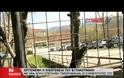 Μήνυση της οικογένειας Γιακουμάκη στη διοίκηση της Γαλακτοκομικής Σχολής