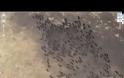 Tα πιο περίεργα ευρήματα στο Google Earth που προκαλούν ερωτηματικά! [video]