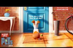 Δείτε το πρώτο απολαυστικό τρέιλερ του The Secret Life of Pets
