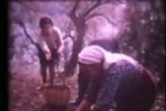 ΥΠΕΡΟΧΟ ΡΕΤΡΟ ΒΙΝΤΕΟ: Η Κρήτη του 1970 [video]