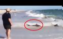 Παρατήρησαν κάτι παράξενο στην παραλία! Μόλις πλησίασαν; Έμειναν με το στόμα ανοιχτό... [video]