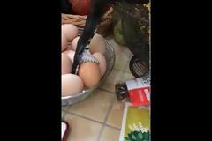 Tι συμβαίνει όταν ένα μαύρο φίδι βρει αυγά; [video]