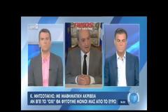 Κωνσταντίνος Μητσοτάκης: Το δημοψήφισμα είναι τρελή ενέργεια [video]