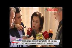 Χρυσοβελώνη: Οι βουλευτές των ΑΝΕΛ ενεργούν με γνώμονα τo συμφέρον της χώρας [video]