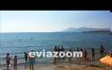 Ψάρι ΤΕΡΑΣ έκανε την εμφάνισή του σε παραλία της Χαλκίδας! Το βίντεο που σοκάρει...