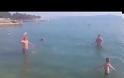 Ρε παιδιά δεν παίζεται έτσι το Frisbee! - Βόσνιοι σκότωσαν το παιχνίδι