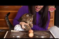Το e-FOOD σου σερβίρει τα καλύτερα video για φαγητό!