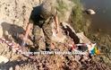 Λαμία: Δείτε φωτογραφίες και video από περισυλλογή όλμου