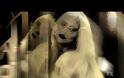 Κυκλοφόρησε το πρώτο trailer του American Horror Story