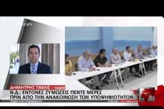 Μάχη για την Προεδρία της Νέας Δημοκρατίας