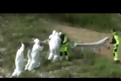 ΣΟΚ: Βρέθηκε απίστευτο ον γοργόνα σε λίμνη; [video]