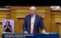 Ε. ΤΣΑΚΑΛΩΤΟΣ: ΝΑ ΕΙΣΤΕ ΦΕΙΔΩΛΟΙ ΣΤΗΝ ΚΡΙΤΙΚΗ ΣΑΣ ΟΤΑΝ ΕΦΑΡΜΟΖΟΥΜΕ ΤΟΥΣ ΝΟΜΟΥΣ ΣΑΣ VD