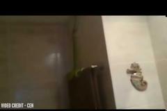 Δεν θα πιστέψετε τι βρήκε στο μπάνιο του [video]