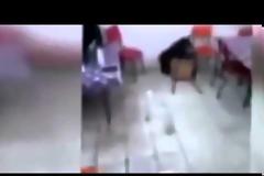 Απίστευτο: Αρκούδα μέσα σε καφέ επιτίθεται στους πελάτες [βίντεο]