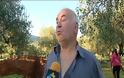 Φθιώτιδα: Εργολάβος έσκαψε τα χωράφια τους και ξερίζωσε ελιές - Ανάστατοι οι ιδιοκτήτες. [photo+video]