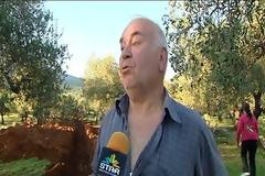 Φθιώτιδα: Εργολάβος έσκαψε τα χωράφια τους και ξερίζωσε ελιές - Ανάστατοι οι ιδιοκτήτες. [photo+video]