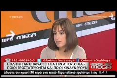 ΒΙΤΣΑΣ: ΤΟ ΣΥΝΘΗΜΑ «ΚΑΝΕΝΑ ΣΠΙΤΙ ΣΕ ΧΕΡΙΑ ΤΡΑΠΕΖΙΤΗ» ΕΙΝΑΙ ΠΡΑΓΜΑΤΙΚΟΤΗΤΑ