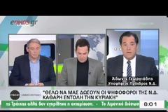 ΣΤΙΣ ΚΑΛΠΕΣ ΠΡΟΣΕΡΧΟΝΤΑΙ ΑΥΡΙΟ ΟΙ ΝΕΟΔΗΜΟΚΡΑΤΕΣ ΓΙΑ ΤΗΝ ΑΝΑΔΕΙΞΗ ΝΕΟΥ ΠΡΟΕΔΡΟΥ VD