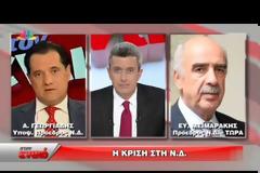 Μεϊμαράκης: Αν δεν πάρει θέση ο Σαμαράς εγώ παραιτούμαι [video]