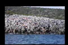 ΑΠΙΣΤΕΥΤΟ βίντεο από την αποστολή της Ελληνικής Ομάδας Διάσωσης Μαγνησίας στη Λέρο - Φαρμακονήσι