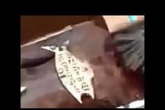 ΣΟΚ! Βρέθηκαν άθικτα σώματα σαρκοφάγων ανθρώπων ηλικίας 12.000 ετών [video]