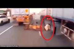Αυτό είναι τύχη! Έπεσε ανάμεσα σε δυο φορτηγά και... έζησε! [video]