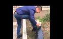 Σάλος από το βίντεο με τον άνδρα που γυαλίζει τα παπούτσια του με μια... γάτα