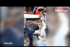 Αγώνας για τη διάσωση κουταβιού μετά το πέρασμα ανεμοστρόβιλου στο Τέξας